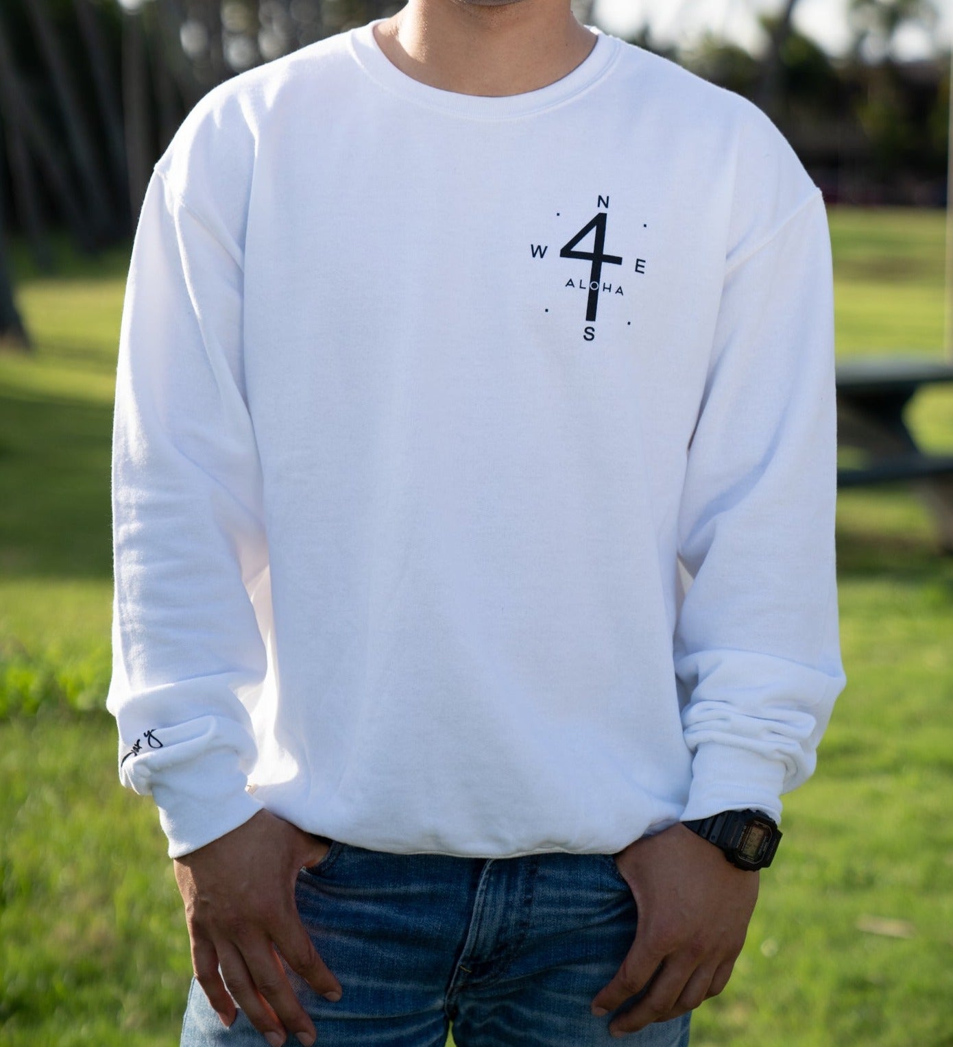 compass sweater