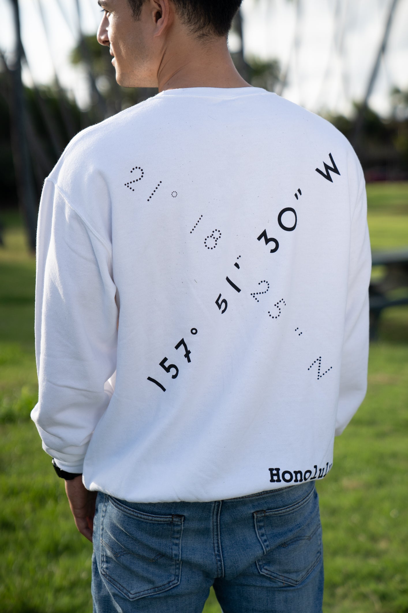 compass sweater